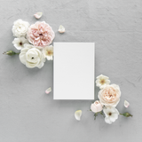 Eloise Invitation Suite
